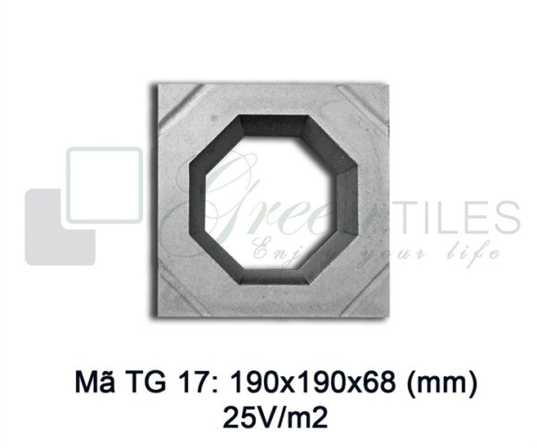 TG17 - Gạch thông gió 19x19cm
